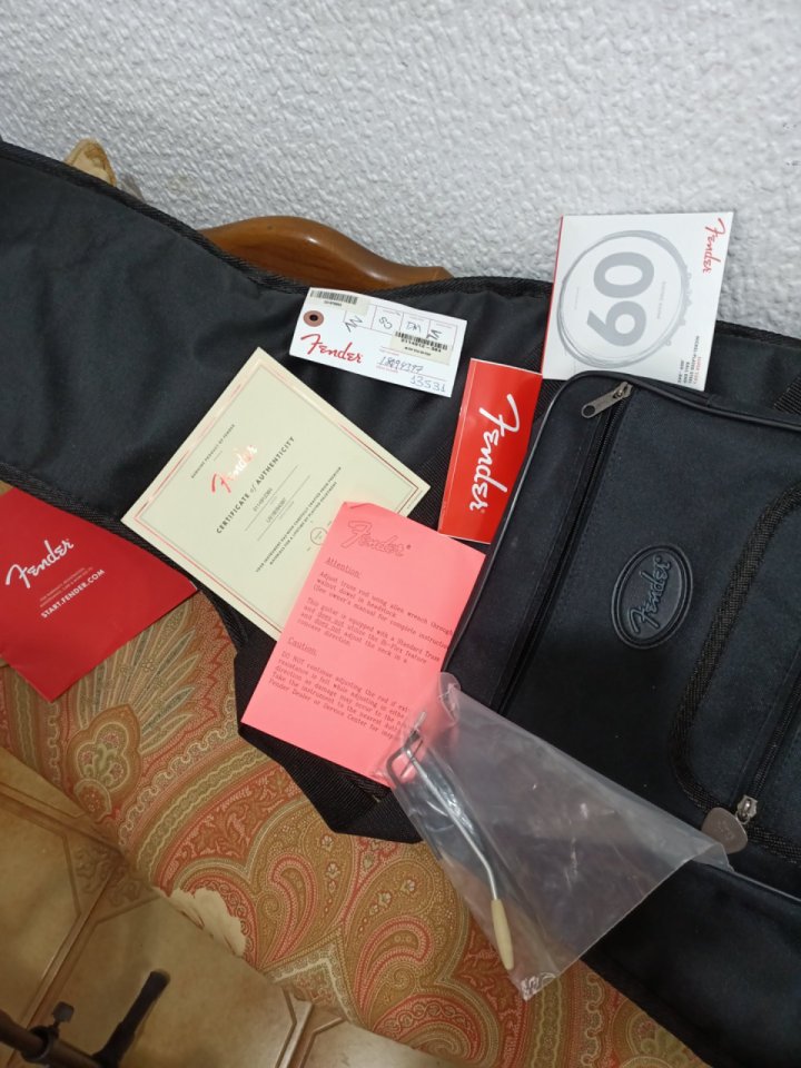 Fender Strat American Performer