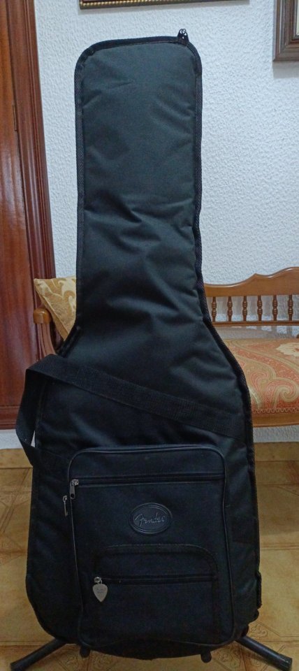 Fender Strat American Performer