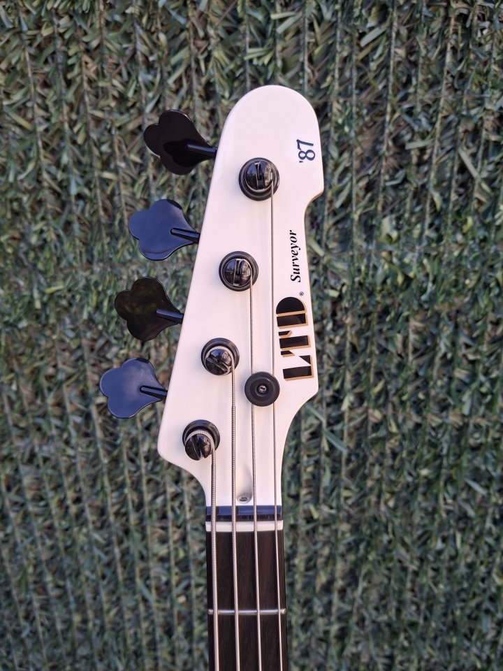 Bajo ESP LTD Surveyor '87 de segunda mano · Foto 5 de 7 · Madrid · 850 €