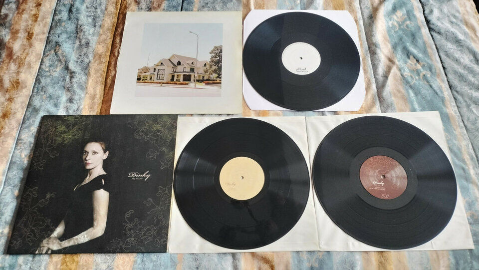 Lote - Vinilos - Minimal - House - Techno