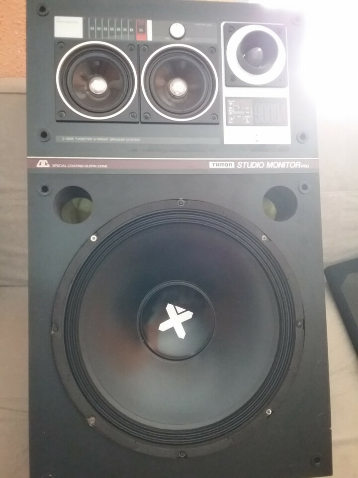 Monitor estudio TAMON