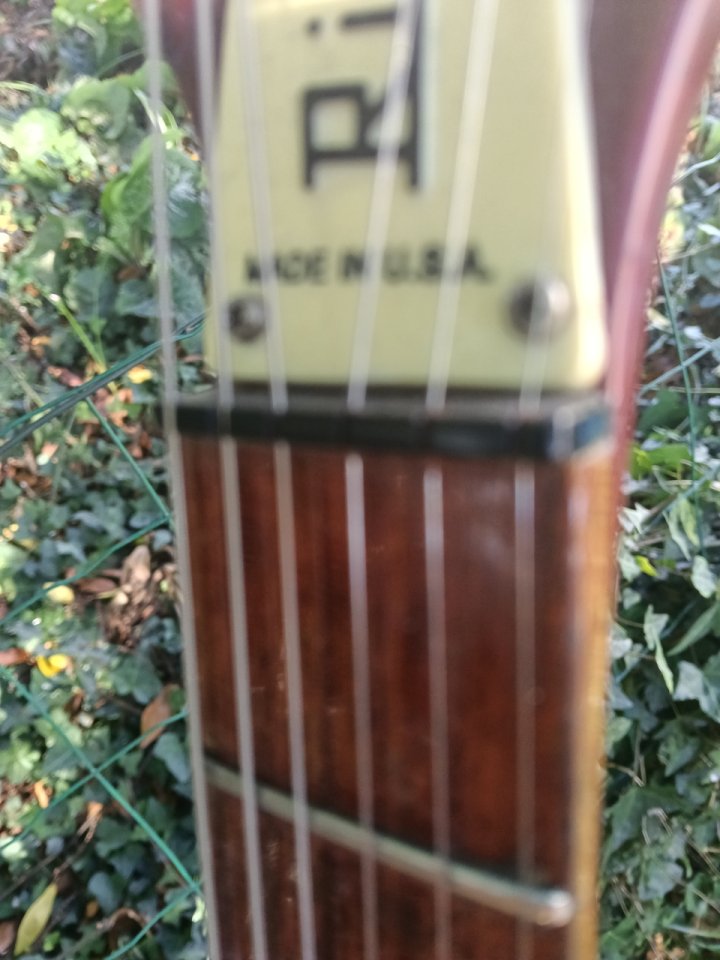 Rickembacker 330 FG de segunda mano · Foto 2 de 10 · A Coruña · 1800 €