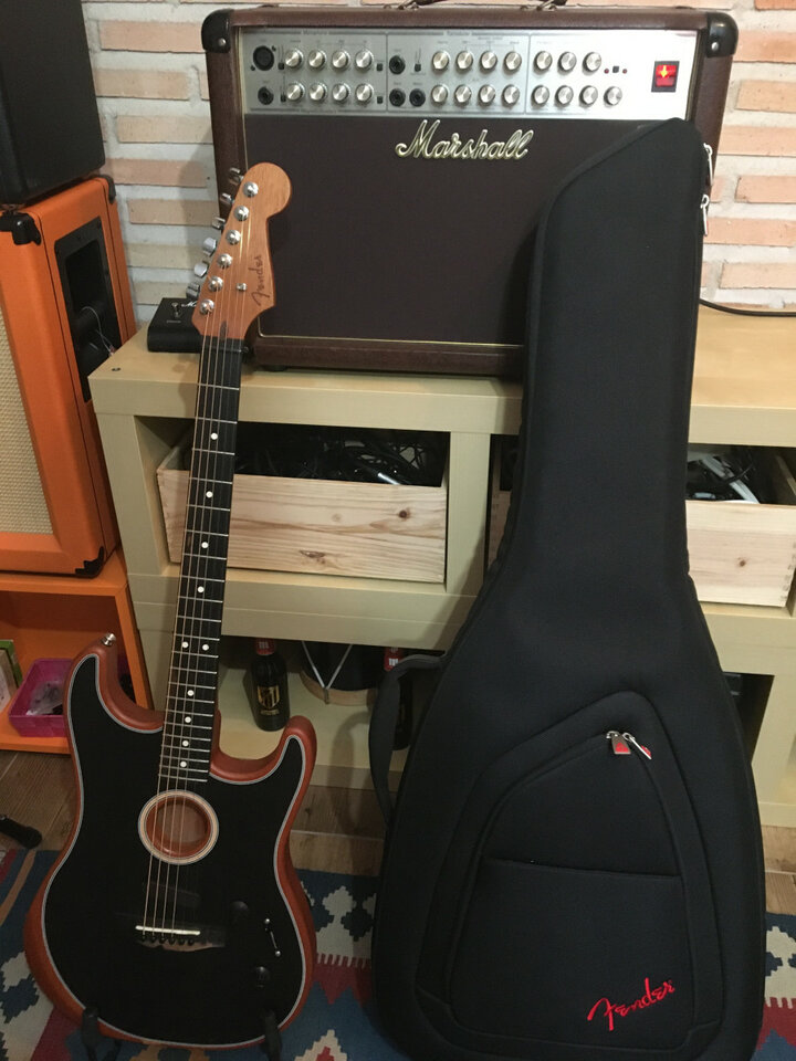 Vendo. Cambio por Fender Telecaster