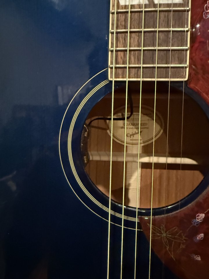 Epiphone Miranda Lambert con L.R Baggs