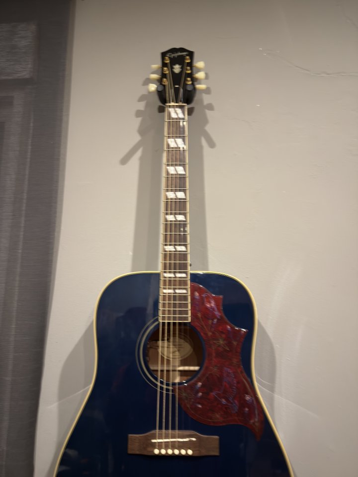 Epiphone Miranda Lambert con L.R Baggs