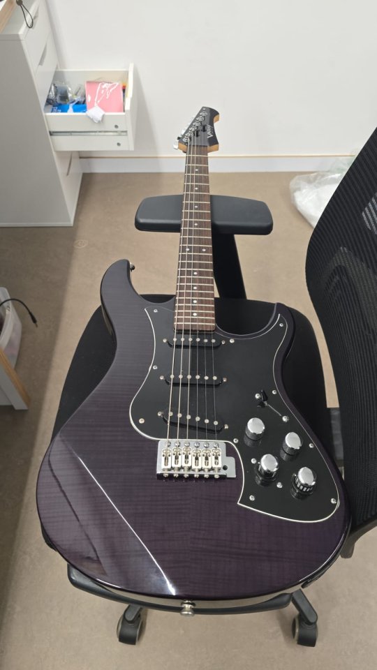 Line 6 Variax Standard Edición Limitada de segunda mano · Foto 1 de 5 · Salamanca · 750 €