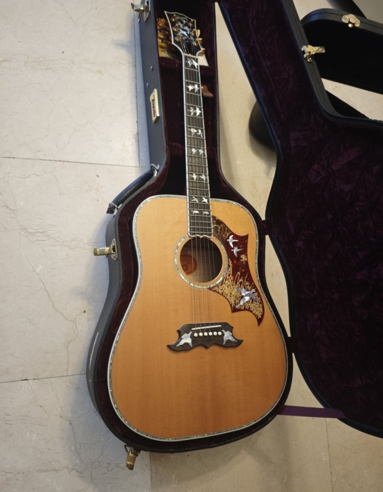 Gibson Dove in flight custom shop