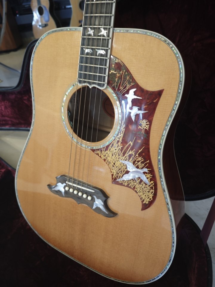 Gibson Dove in flight custom shop