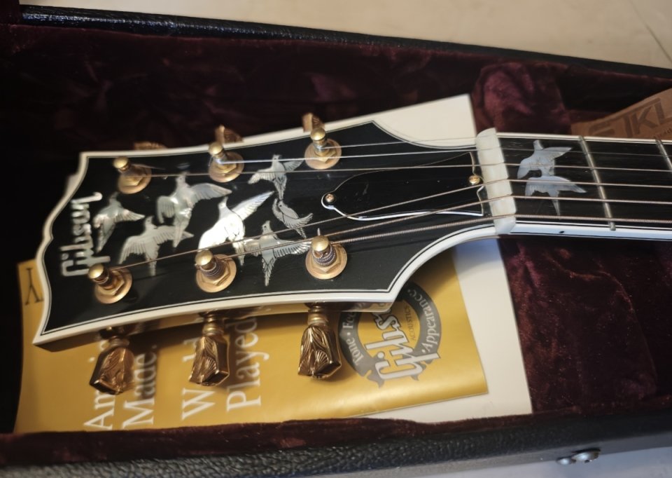 Gibson Dove in flight custom shop