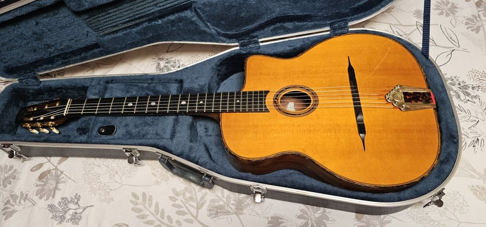 Gitane DG-300 John Jorgenson de segunda mano · Foto 1 de 8 · Valencia · 875 €