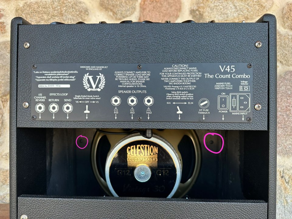 Amplificador VICTORY V45 "The Count"