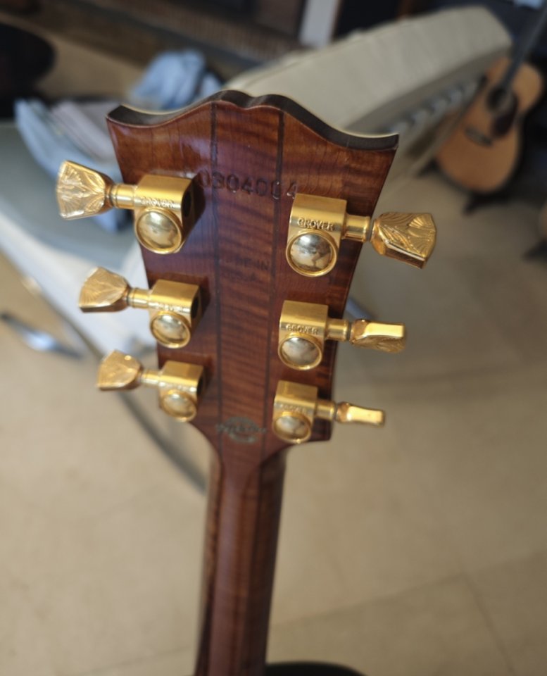 Gibson Dove in flight custom shop