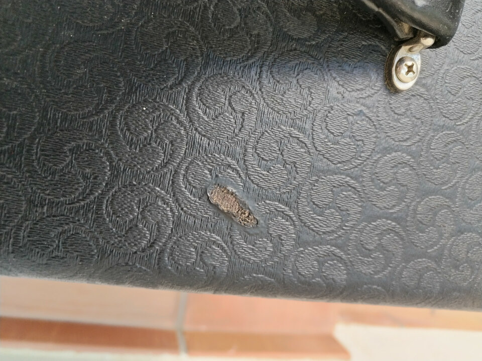 Bogner Goldfinger 45 combo + flightcase