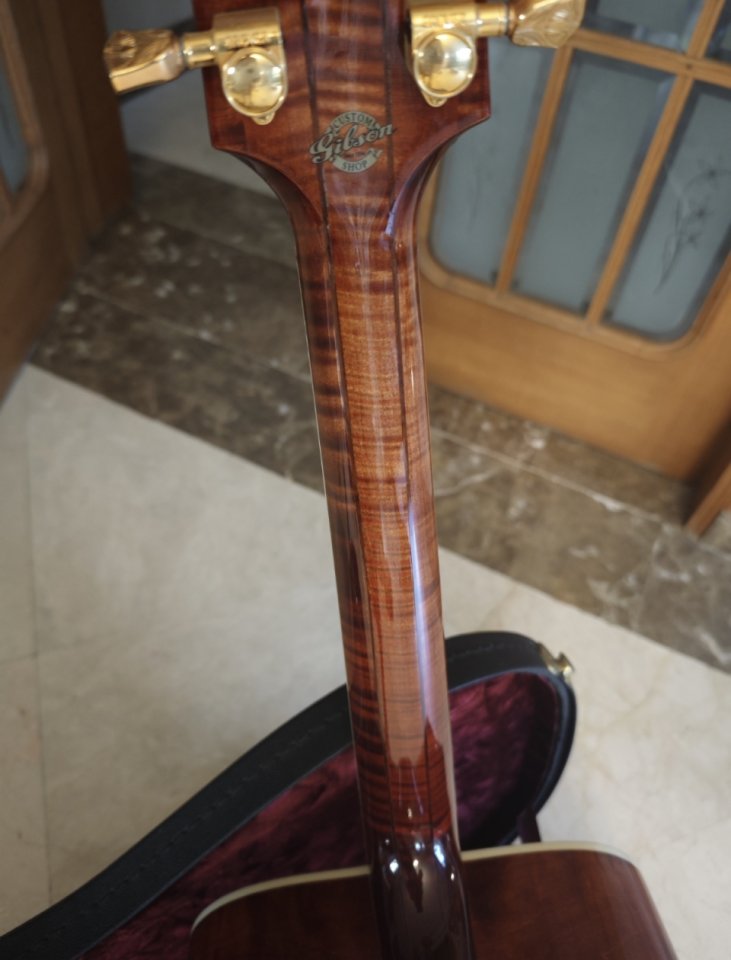 Gibson Dove in flight custom shop