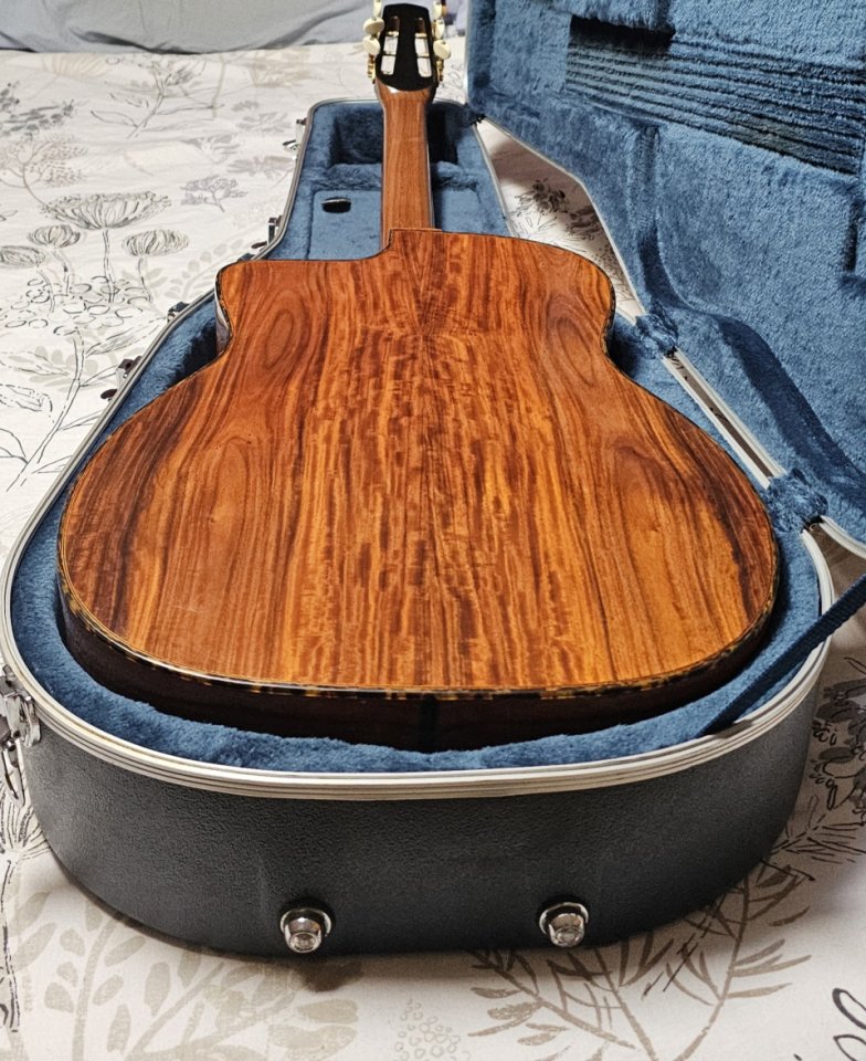 Gitane DG-300 John Jorgenson de segunda mano · Foto 6 de 8 · Valencia · 875 €