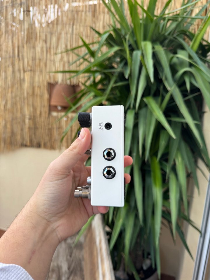 Chase Bliss Audio Condor X Brothers AM