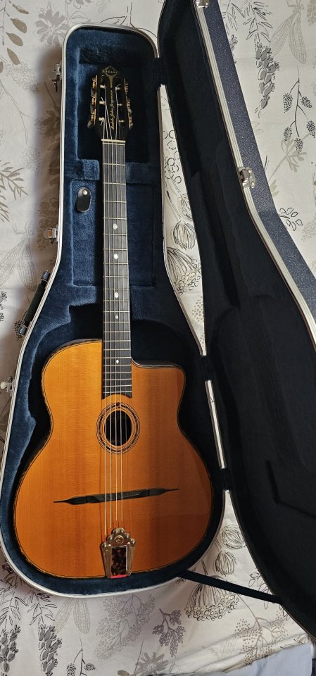 Gitane DG-300 John Jorgenson de segunda mano · Foto 7 de 8 · Valencia · 875 €