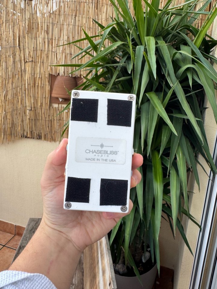 Chase Bliss Audio Condor X Brothers AM