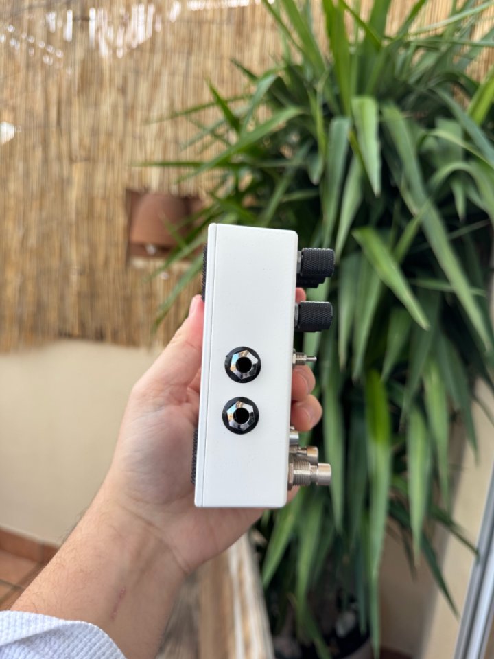 Chase Bliss Audio Condor X Brothers AM