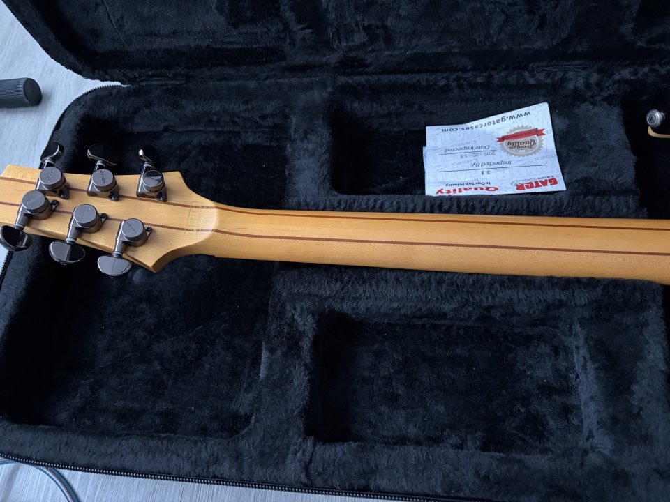 Schecter Banshee 6 Active