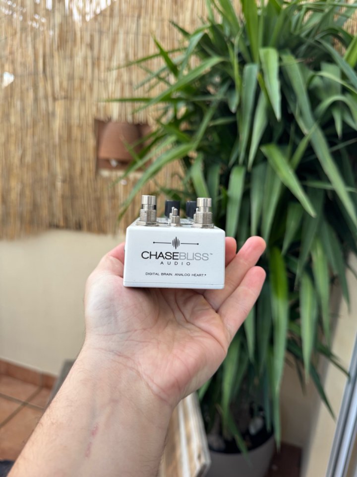 Chase Bliss Audio Condor X Brothers AM