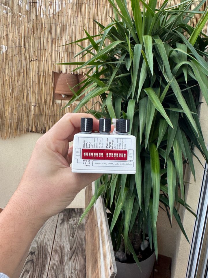 Chase Bliss Audio Condor X Brothers AM