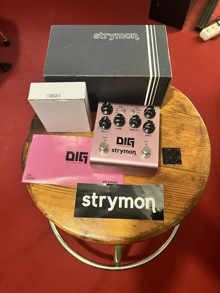 Strymon DIG v2 de segunda mano · Foto 1 de 3 · Palencia · 310 €