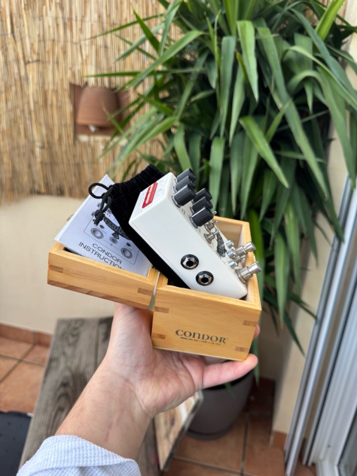 Chase Bliss Audio Condor X Brothers AM