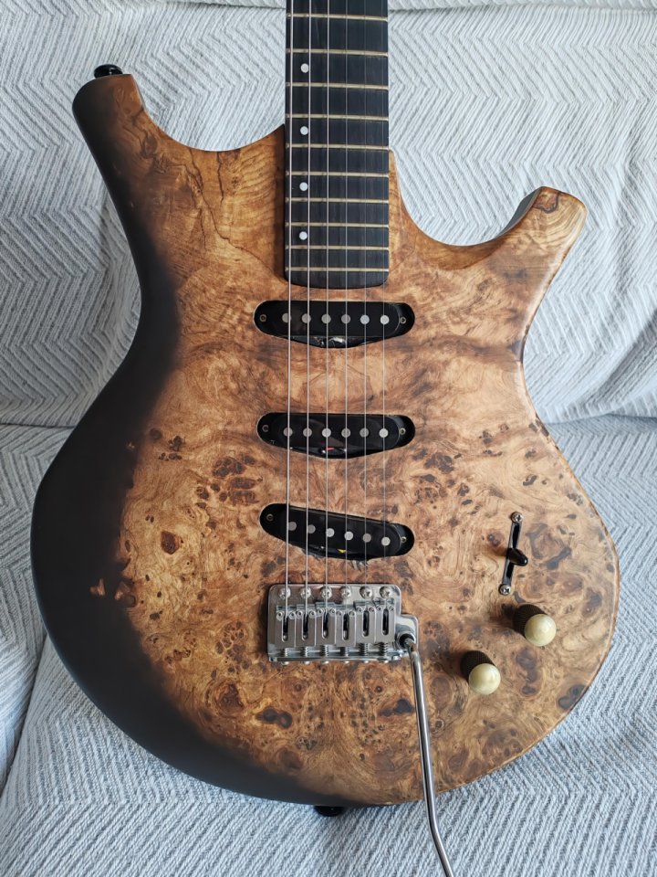 Guitarra eléctrica Premium