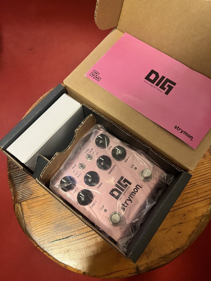 Strymon DIG v2 de segunda mano · Foto 3 de 3 · Palencia · 310 €