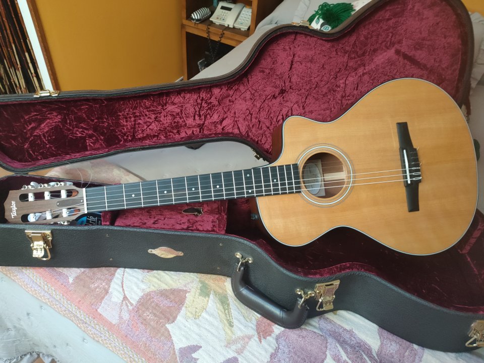 Taylor 312 Nce