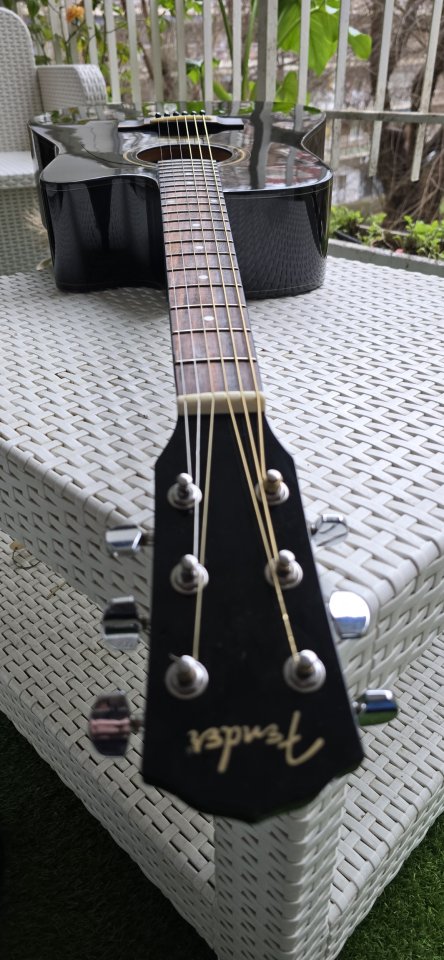 Fender Electroacústica