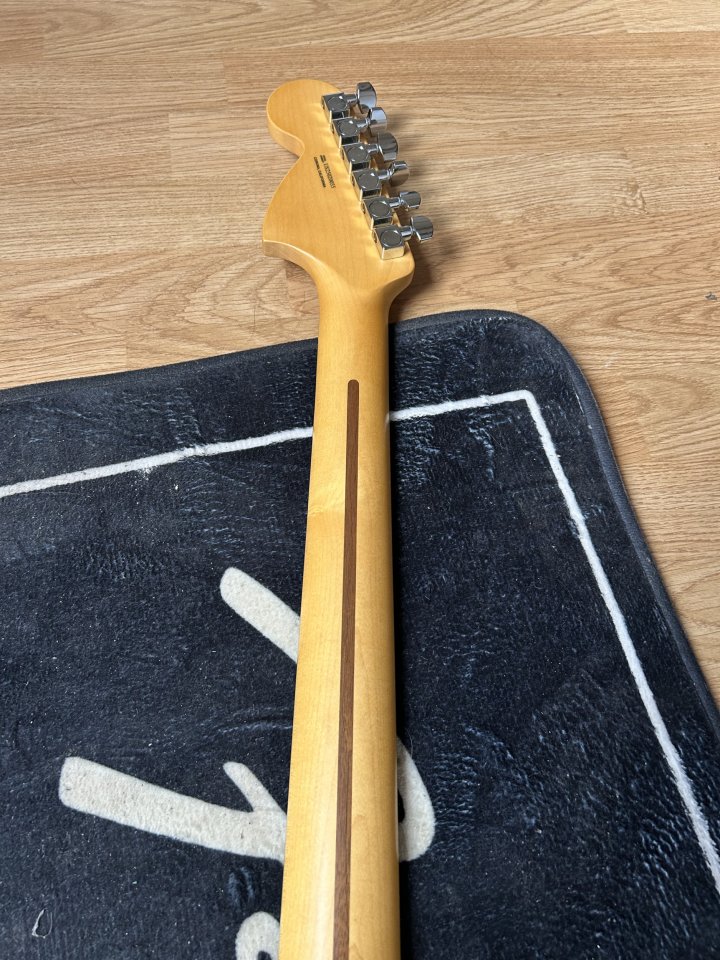 Fender American Prodesional II Telecater (2.025) RICKENBACKER de segunda mano · Foto 6 de 10 · Valencia