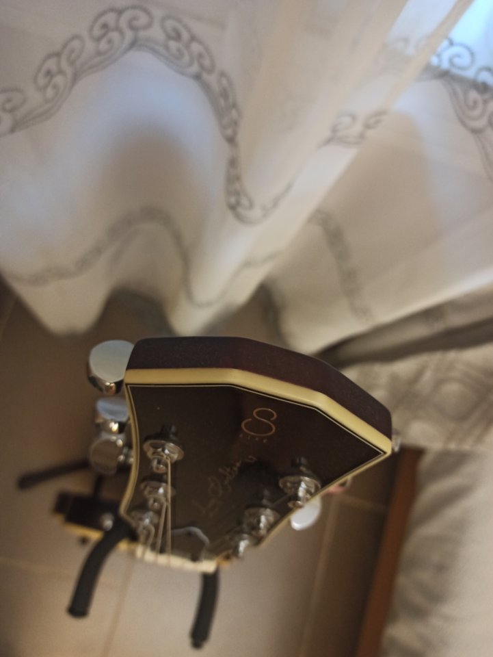 SIRE LARRY CARLTON L7 TS