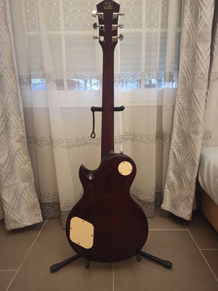 SIRE LARRY CARLTON L7 TS