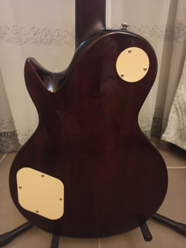 SIRE LARRY CARLTON L7 TS