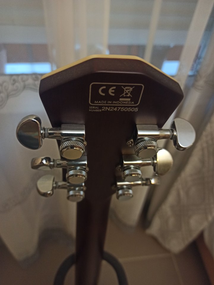 SIRE LARRY CARLTON L7 TS