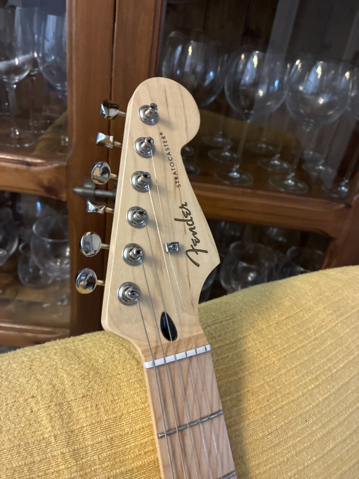 Fender Stratocaster (PartCaster) Lake Placid Blue MN