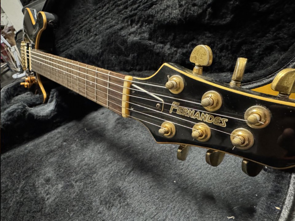 Fernandes APG 100 Premium MIJ