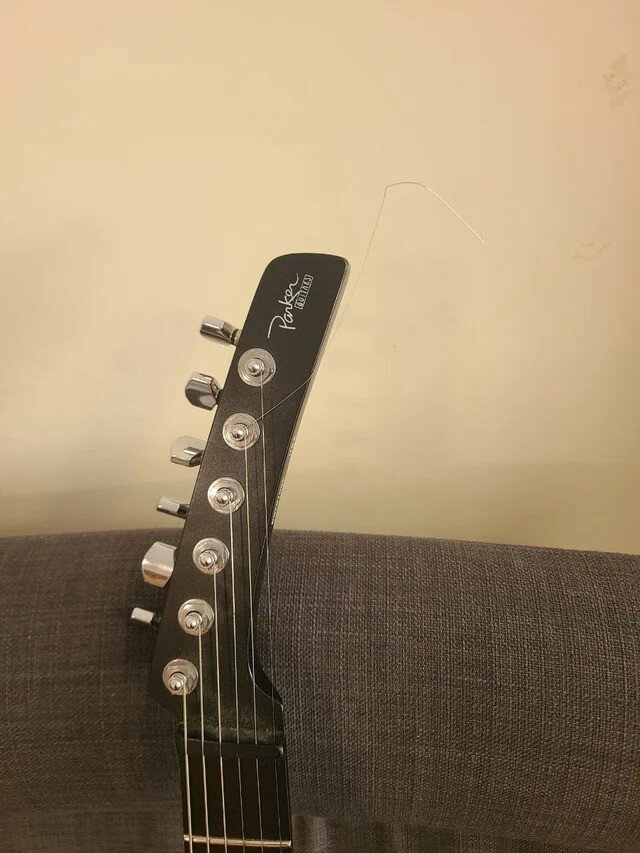 Parker southern nitefly