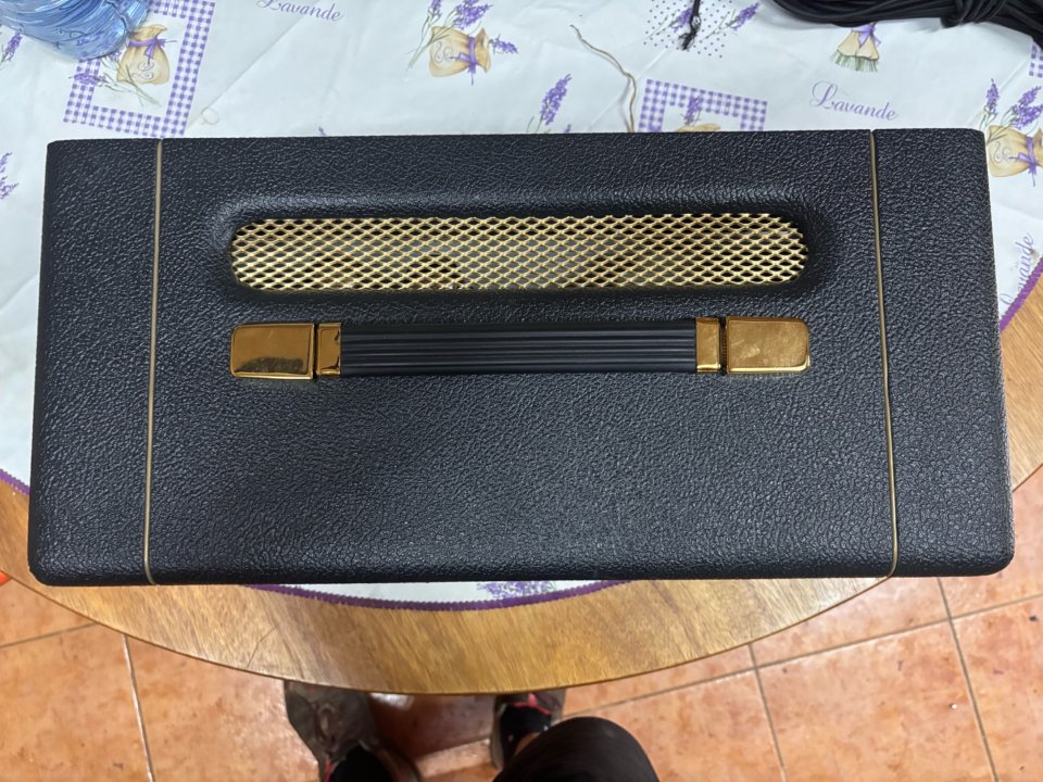 Amplificador Marshall SV20