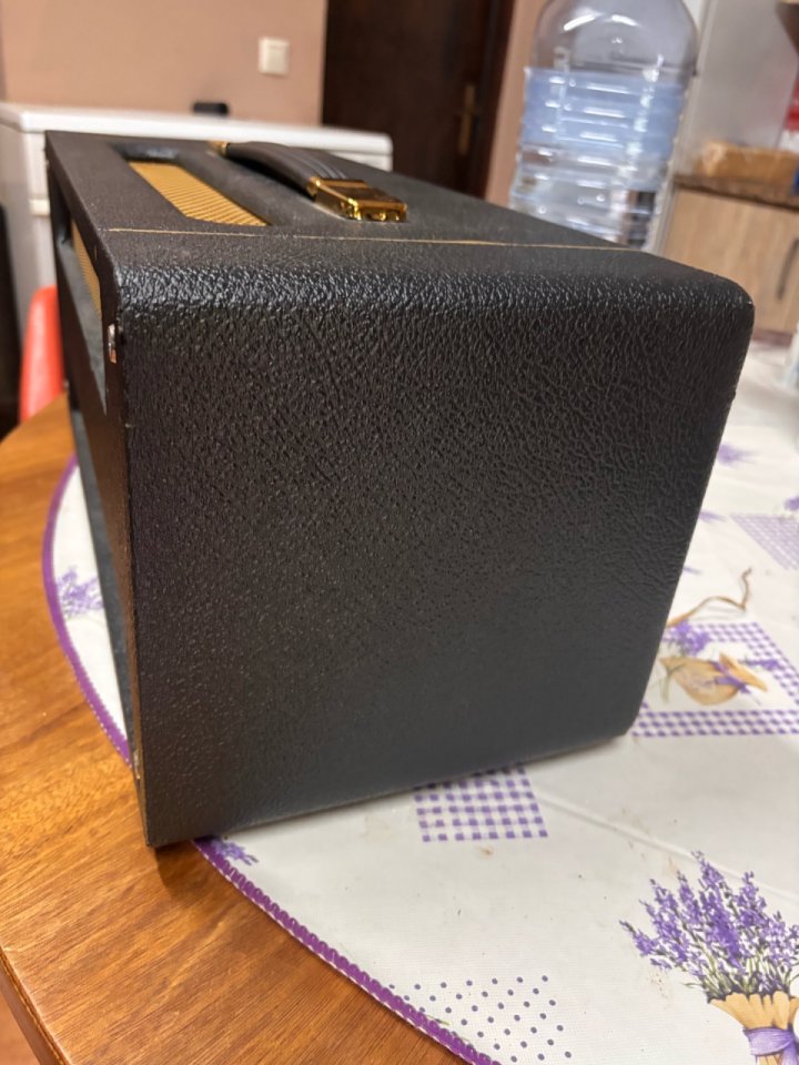 Amplificador Marshall SV20