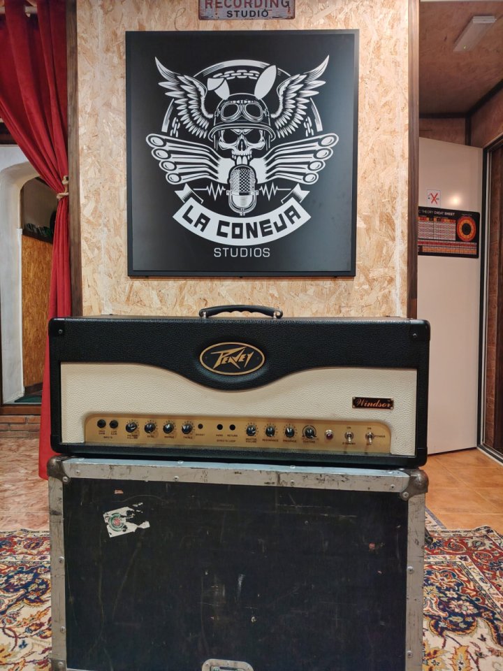 Vendo Peavey Windsor de segunda mano · Foto 1 de 4 · Cantabria · 230 €