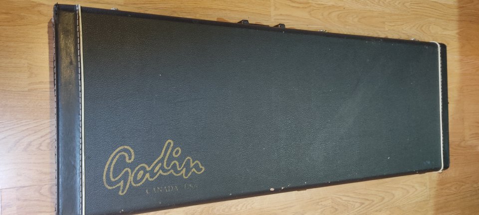 Guitarra Godin ACS - Fabricada en Canadá