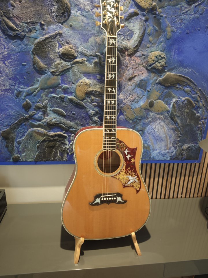 Gibson Dove in flight custom shop