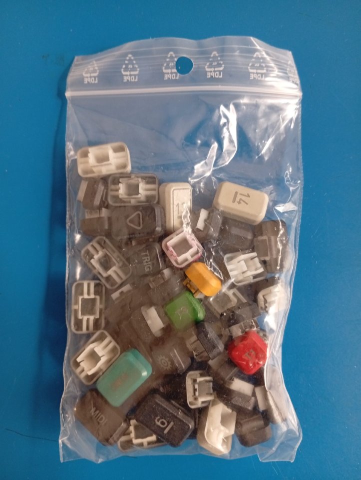 DIGITONE OG IMPOLUTA