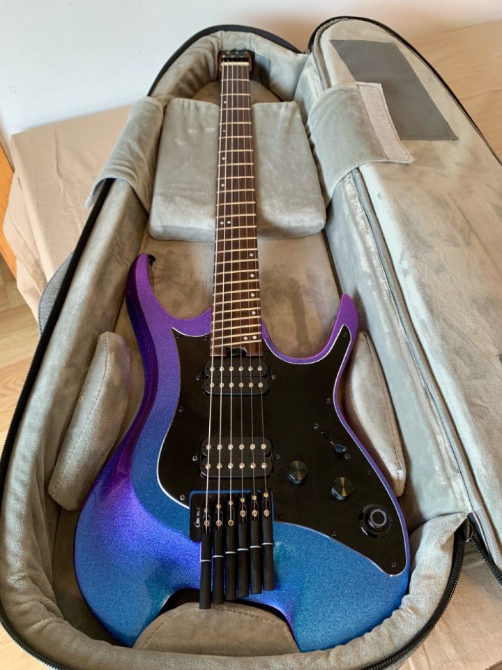 Mooer GTRS Wing W900