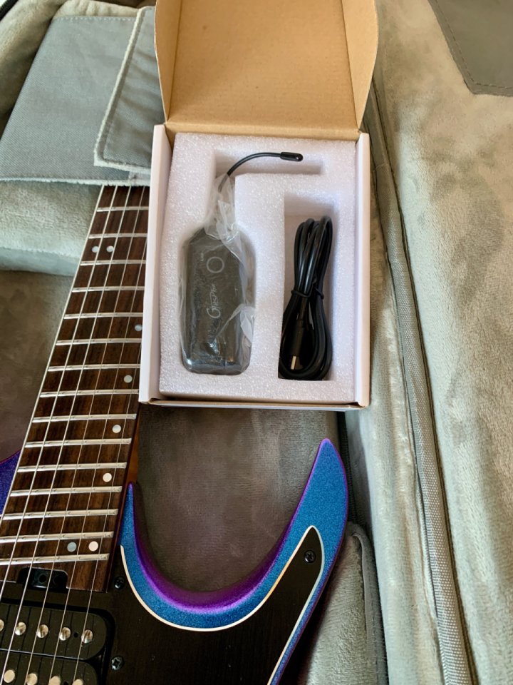 Mooer GTRS Wing W900