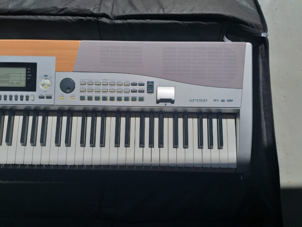 Teclado contrapesado Clifton SP5500 / Thomann SP-5500 de segunda mano · Foto 2 de 7 · Bizkaia · 300 €