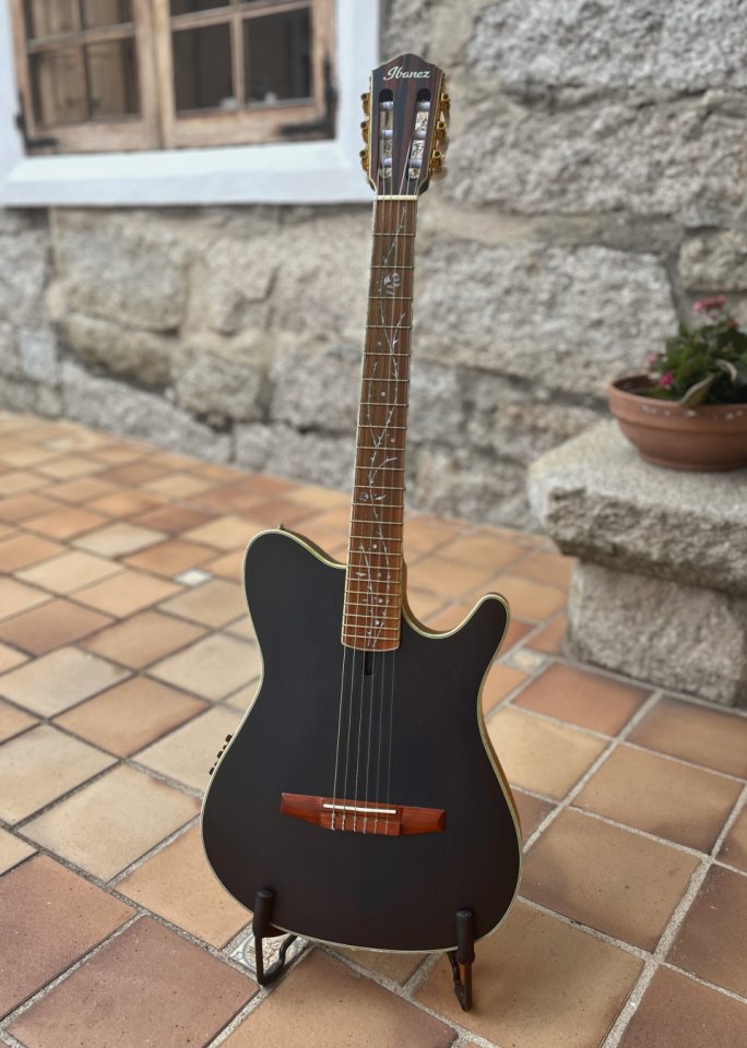 Ibanez TOD10n